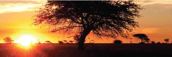 dedtmp Profile Banner