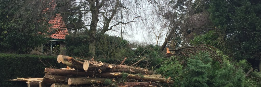 De Boomverzorging banner