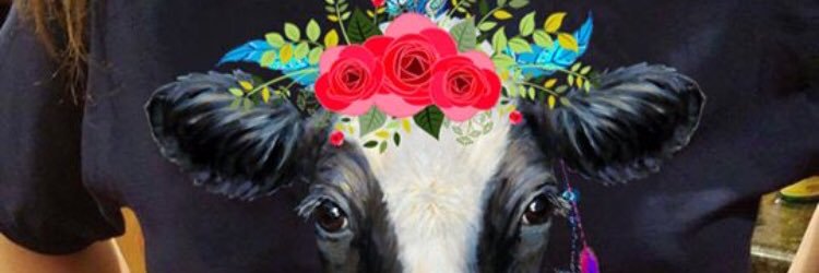 SaraALarson's profile banner image