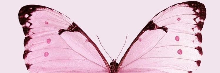 maaaribelle's profile banner image