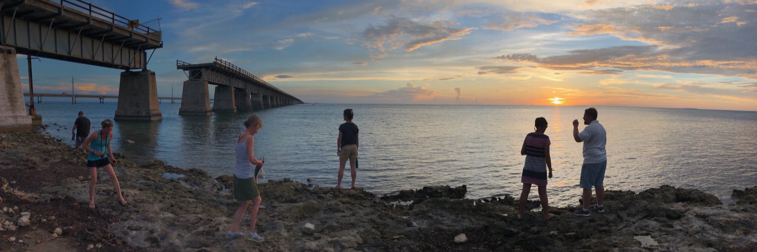 RyanHoglund's profile banner image