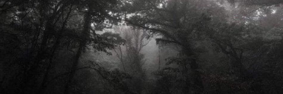 Hnnn ⊹₊⟡ banner