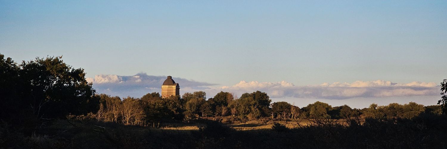 Samira de Blij 🏃🏽‍♀️ banner