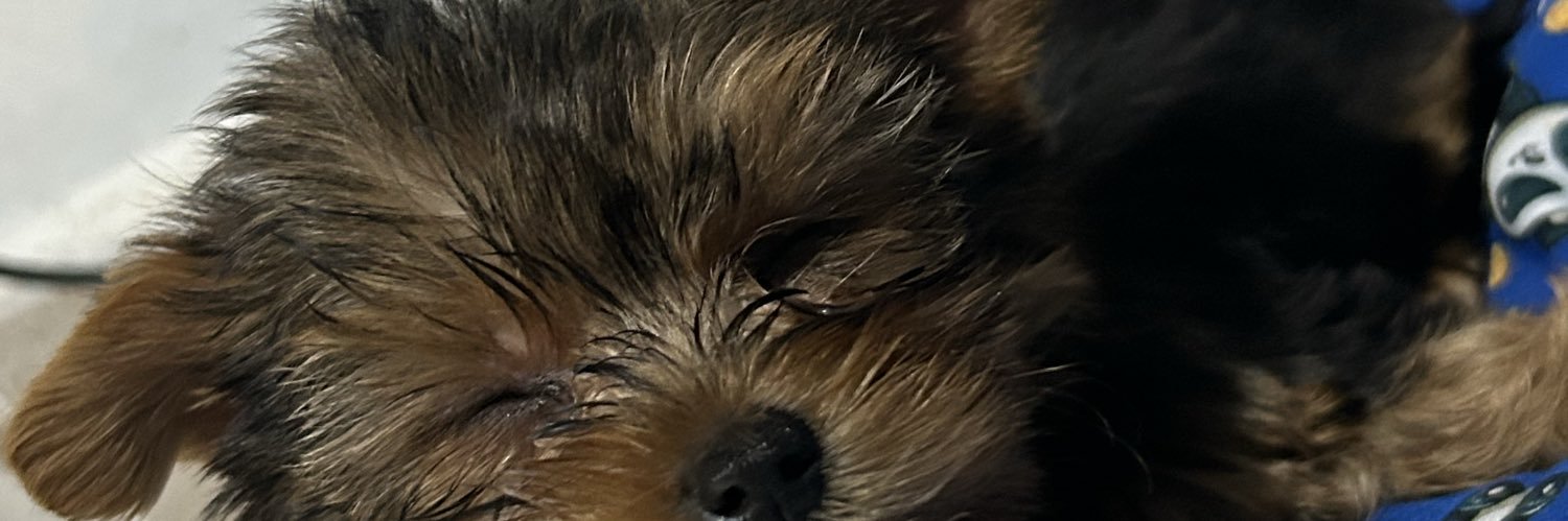doransad_'s profile banner image