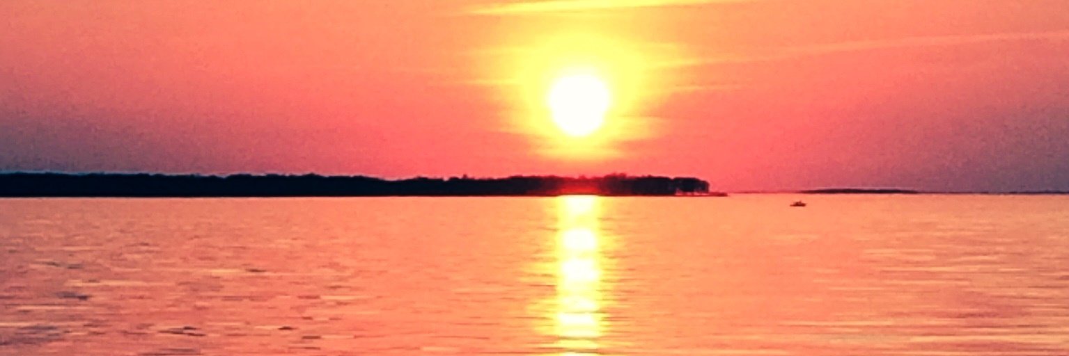 annaphillips655's profile banner image