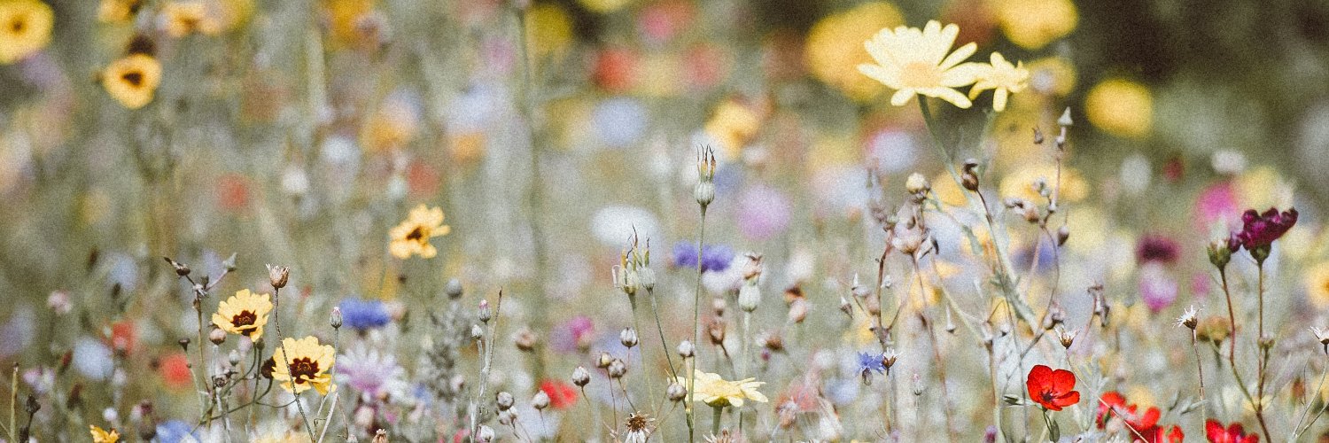 AStewartWriter's profile banner image