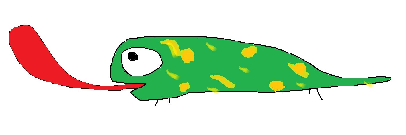 トカゲ🦎 banner