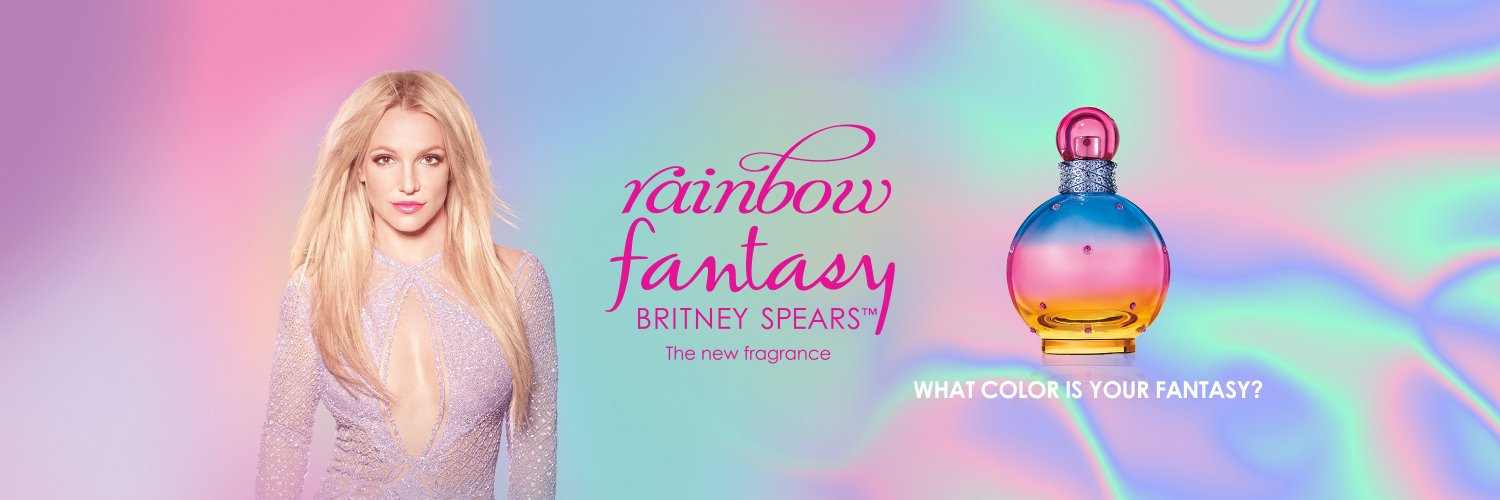 The Britney Army banner