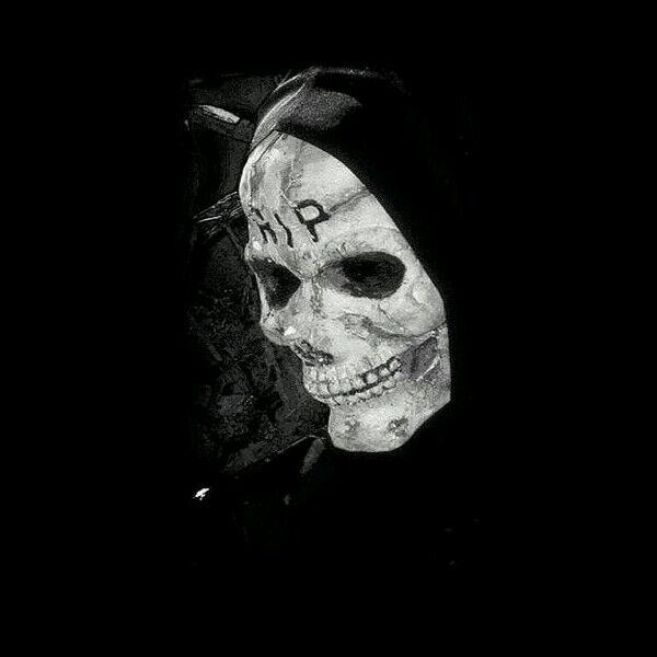 PaltoluHoca's profile banner image