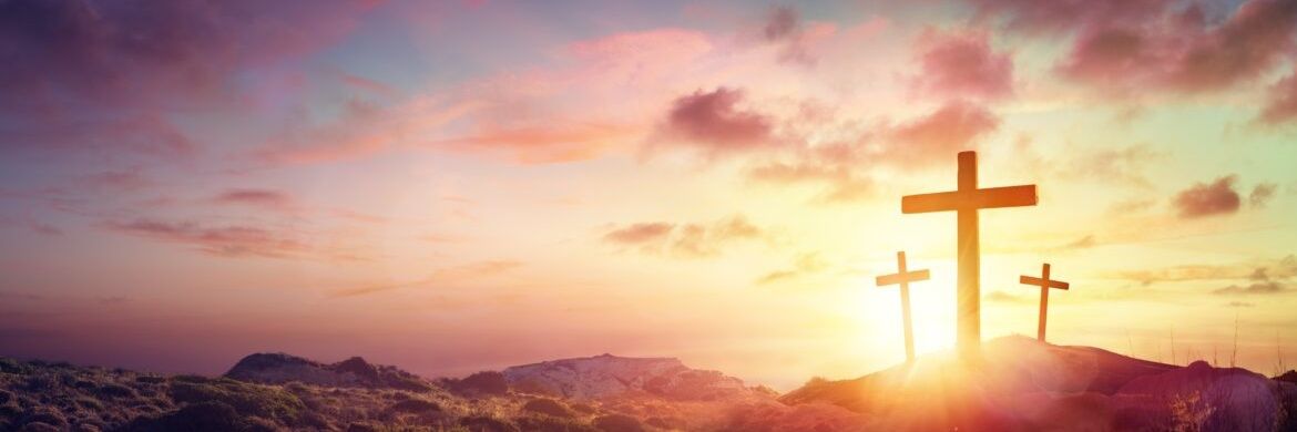 Mandezworld banner