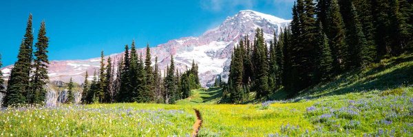 ChartMonitor Profile Banner