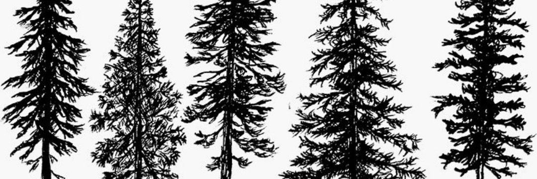 markbillstrom's profile banner image