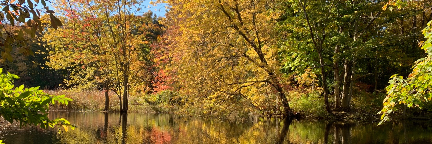 Patricia Cruz Marín banner