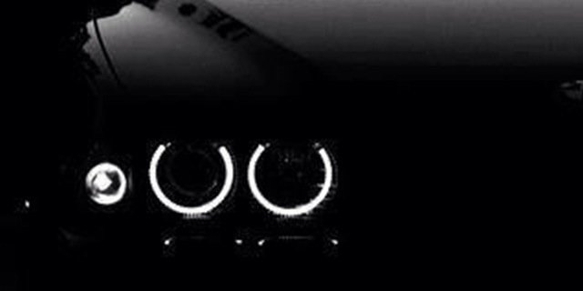 whalingDAO's profile banner image
