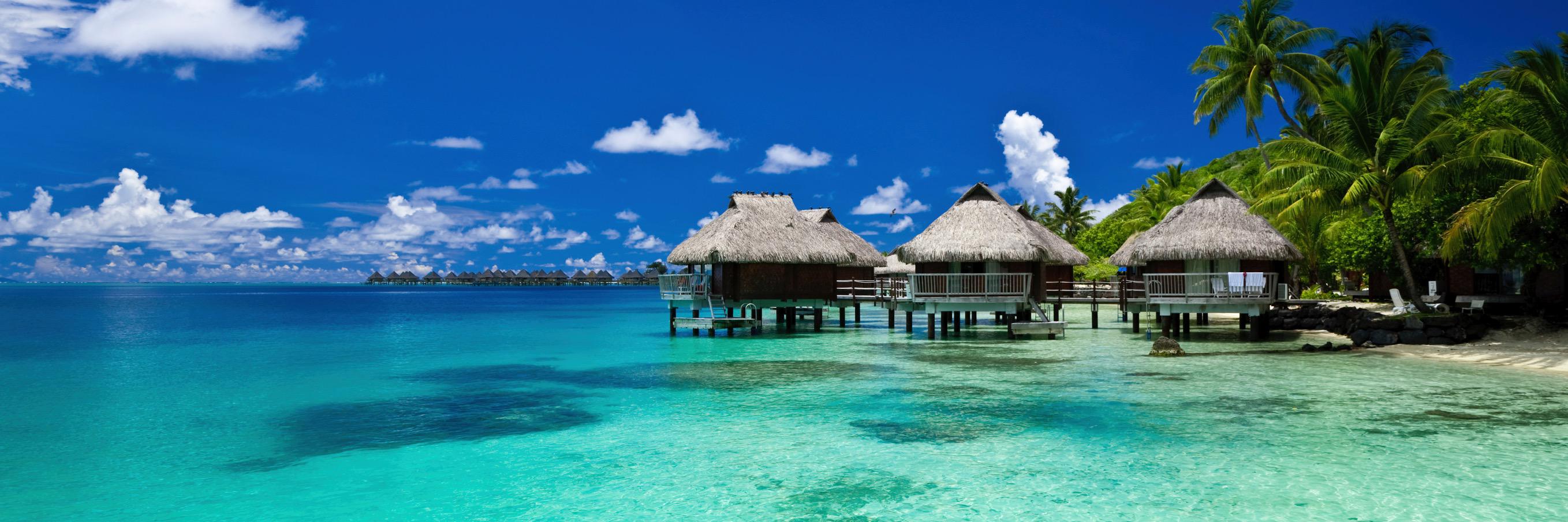 Mataora_design's profile banner image