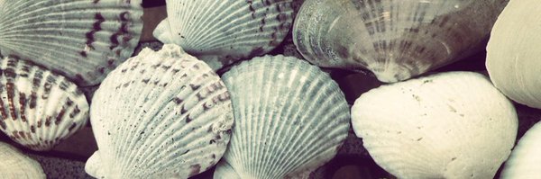 mrs_hickey916 Profile Banner