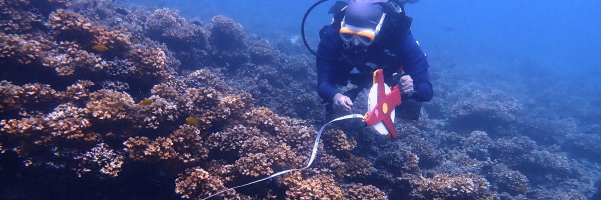 Reef Check Malaysia banner