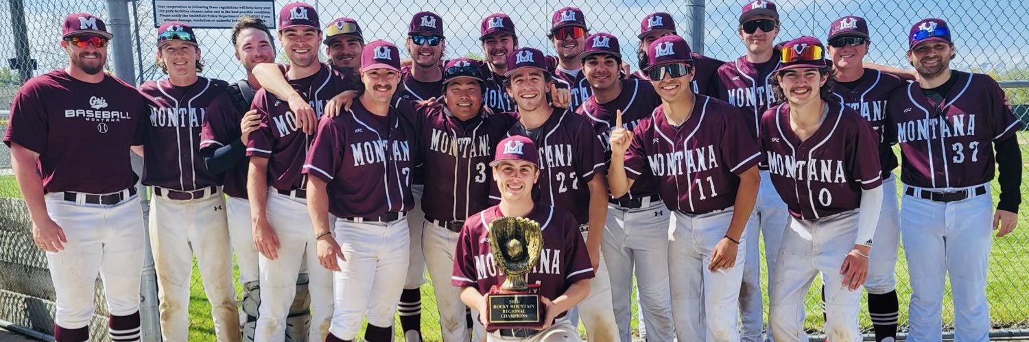 Montana Griz Baseball banner