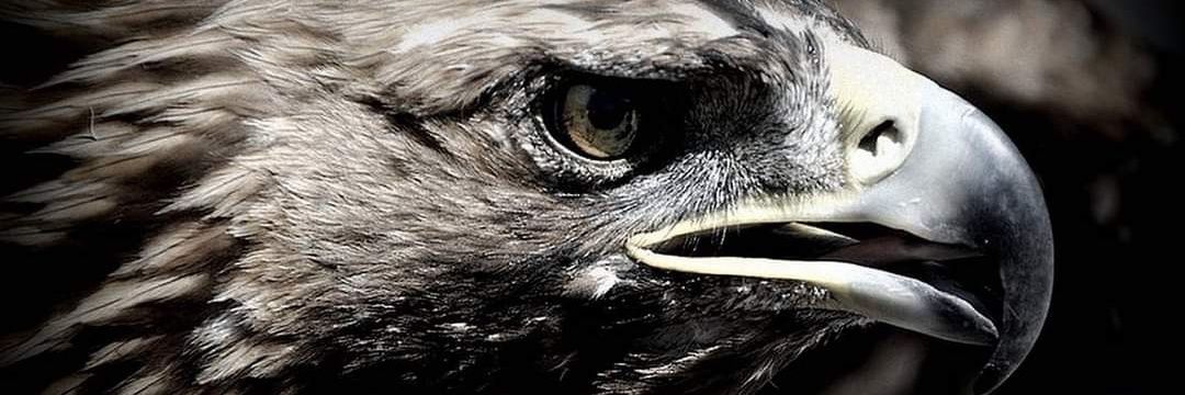 ahmetkeser's profile banner image