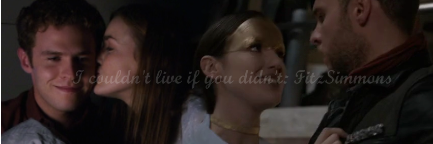 FitzSimmonsTWT's profile banner image