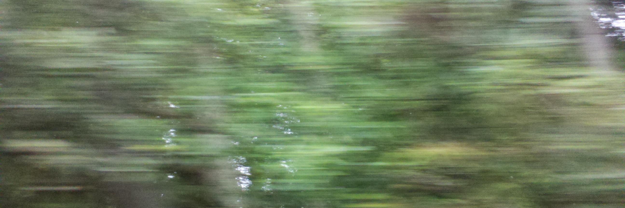 moissonneuse's profile banner image