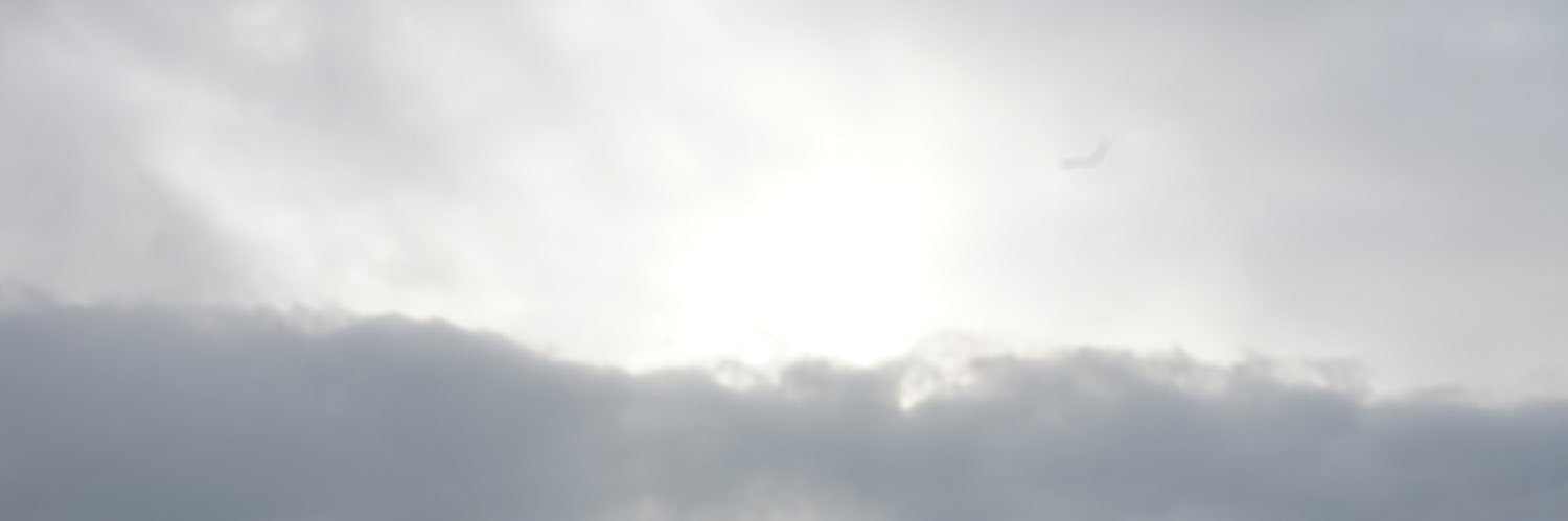 Bereuh's profile banner image