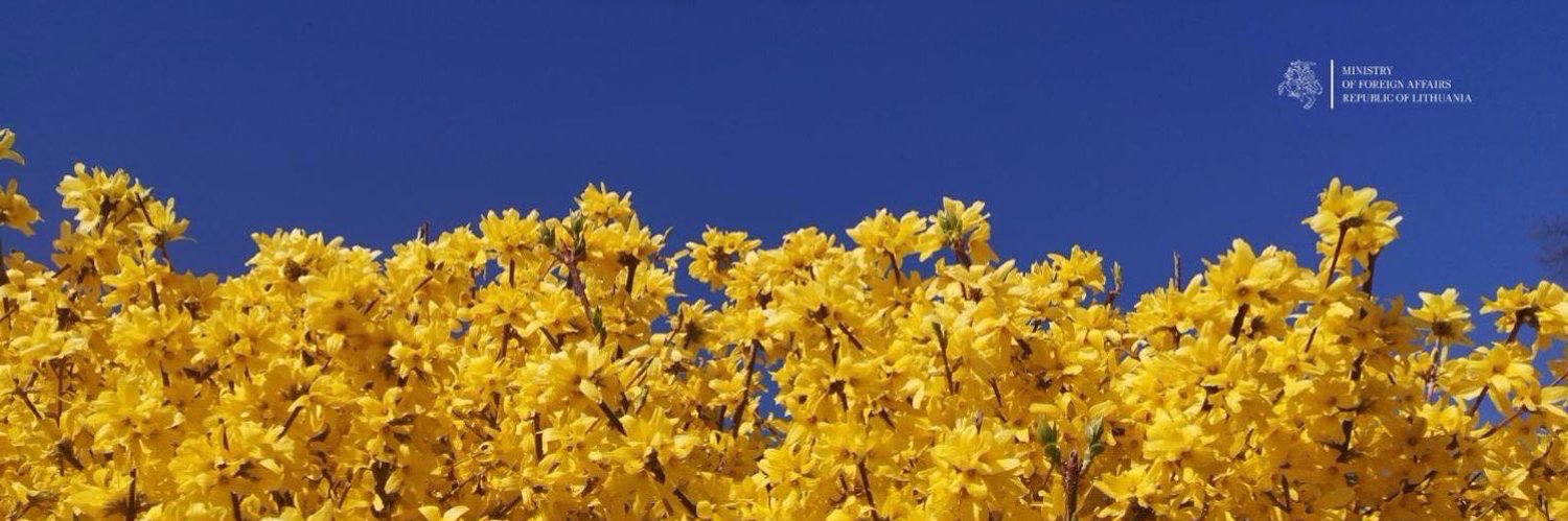 Inga Tolockiene's banner