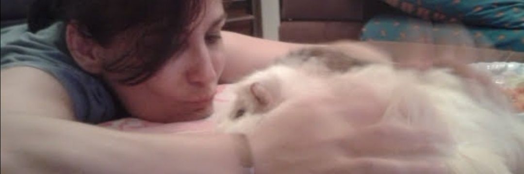 Dut Yemiş Bülbül - Ekrem İmamoğlu banner