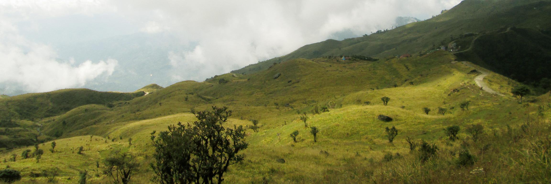 Mainak Das banner