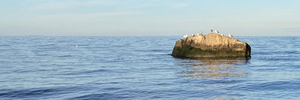 brianne_ledda Profile Banner