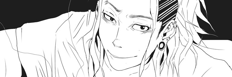 Hein banner