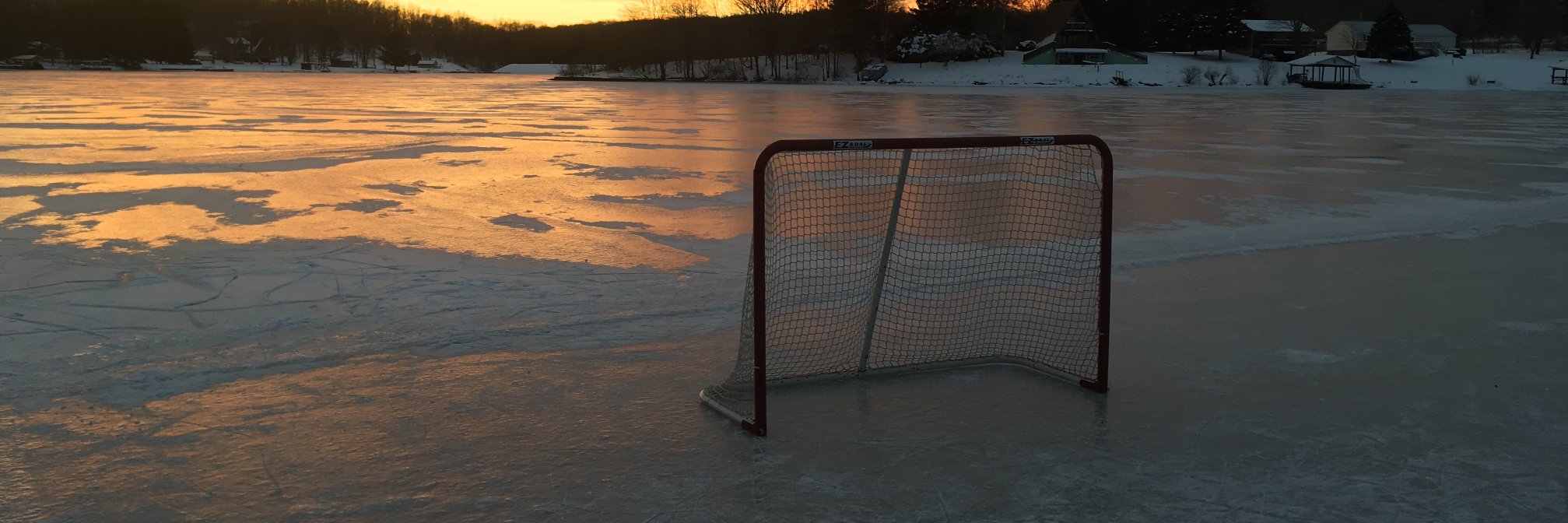 Exiled Netters banner