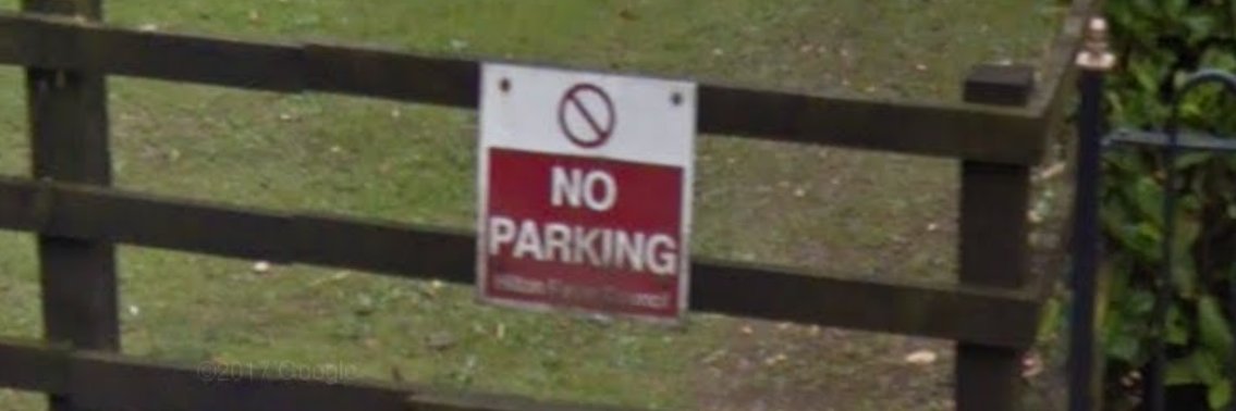 Cato the Elder banner