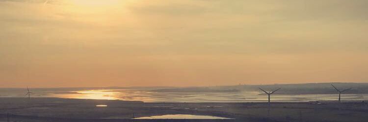 RugglesHarry's profile banner image