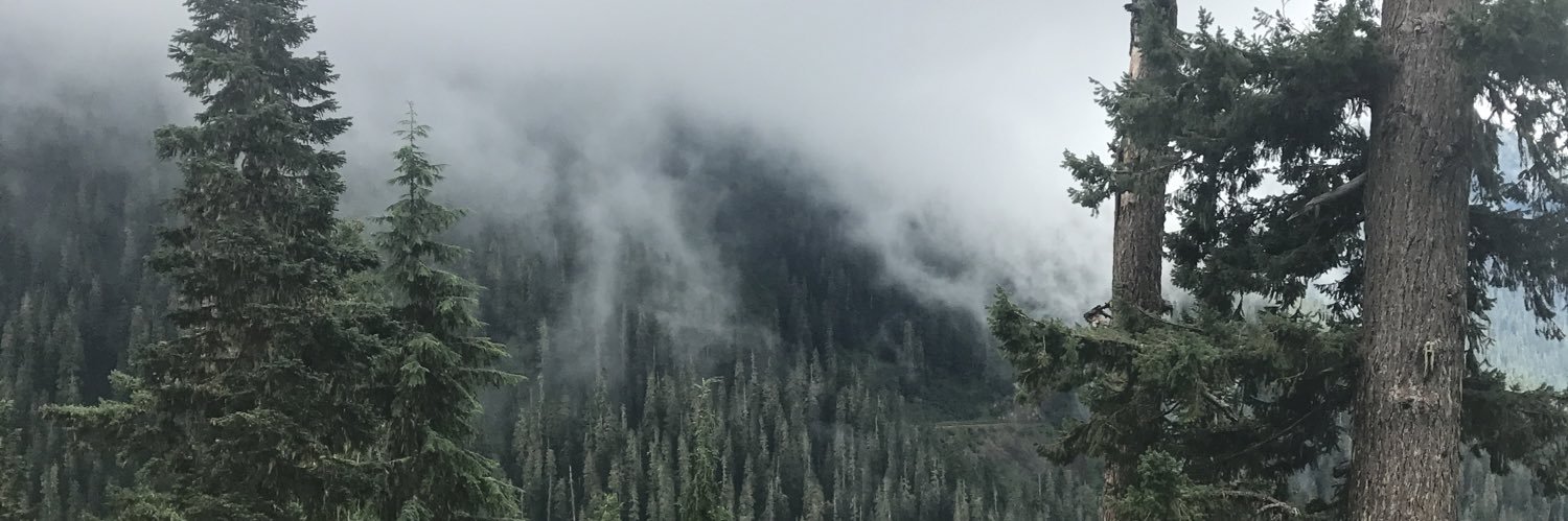 theyCallmehBob's profile banner image