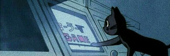 Debs's banner
