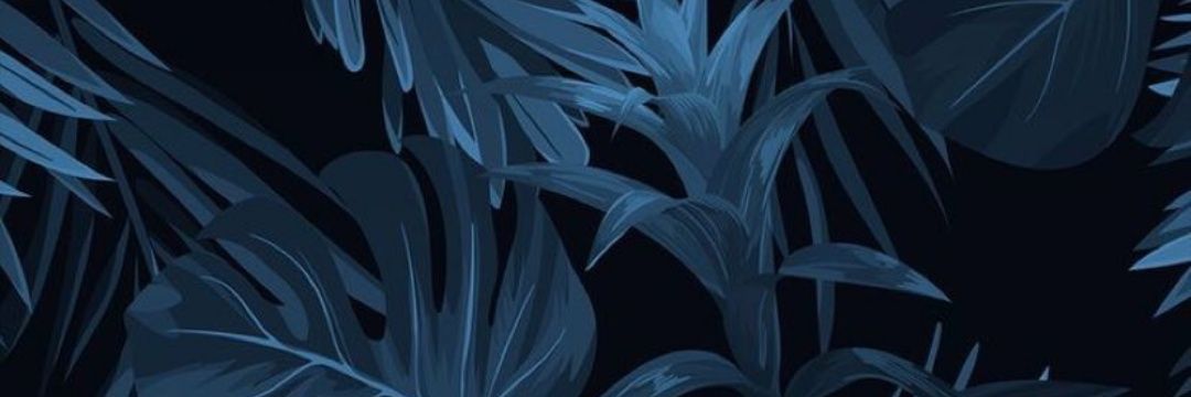 syerarasitha's profile banner image