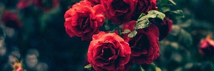 April 13 💕🥳 banner