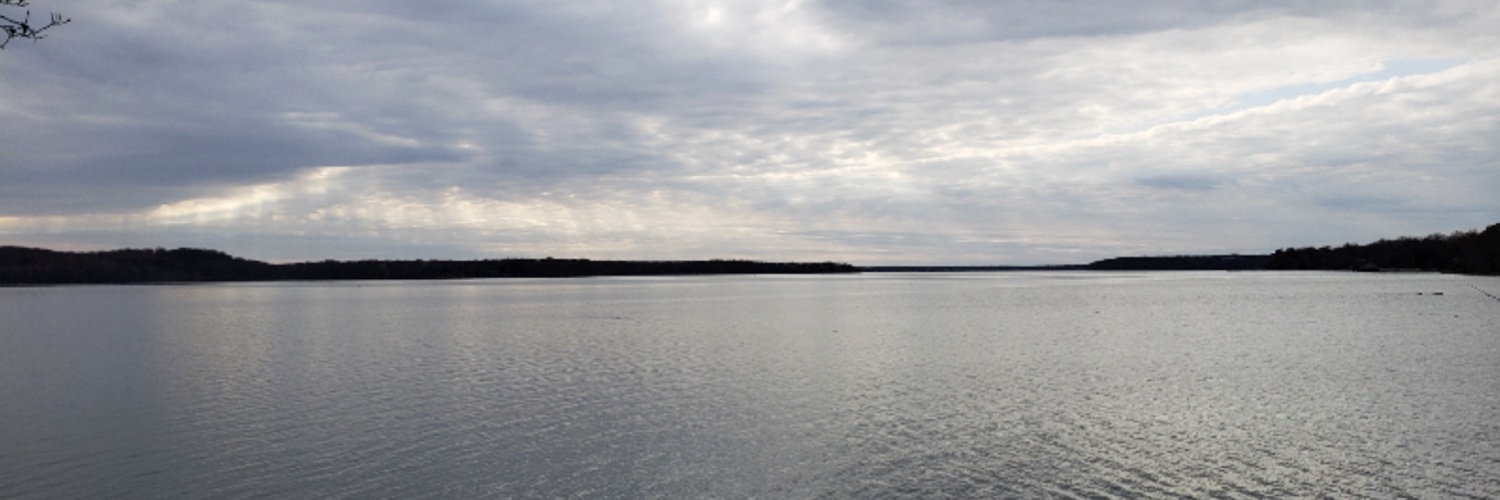 Andrea Swalec banner