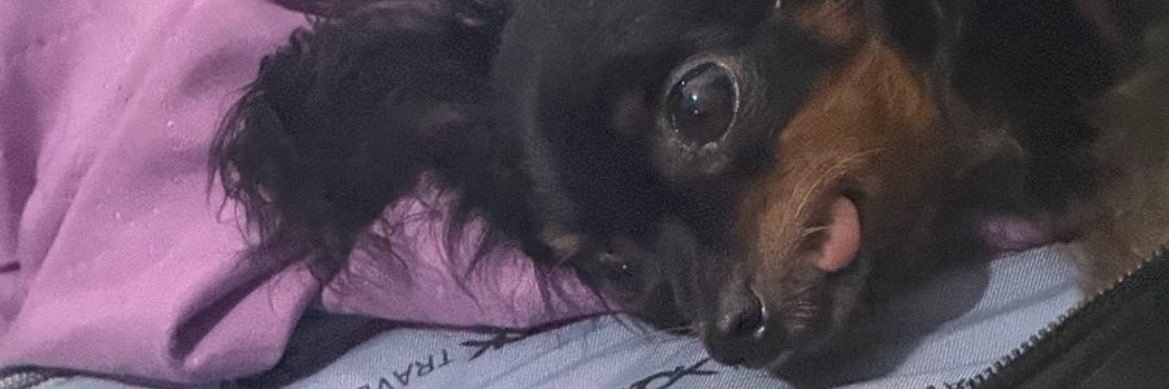 Mar4ujoe's profile banner image