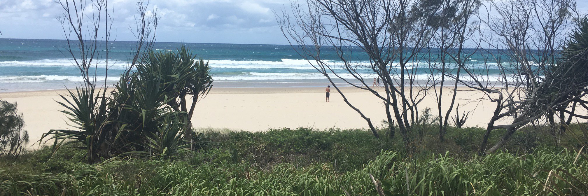 Larisa Labzin banner