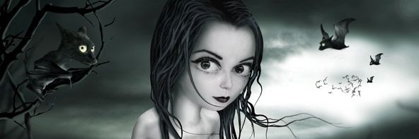 alihberh's profile banner image