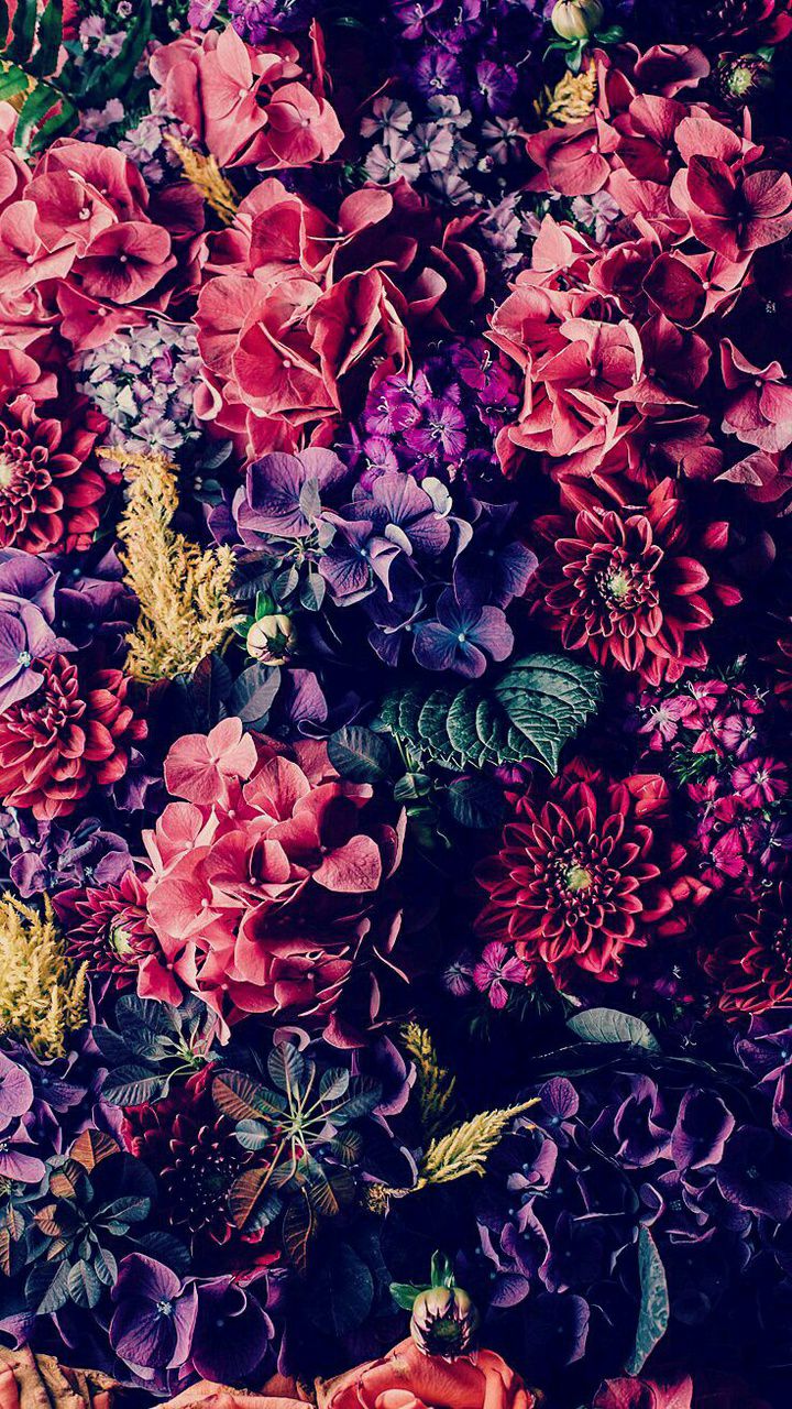 MariVicColussi's profile banner image