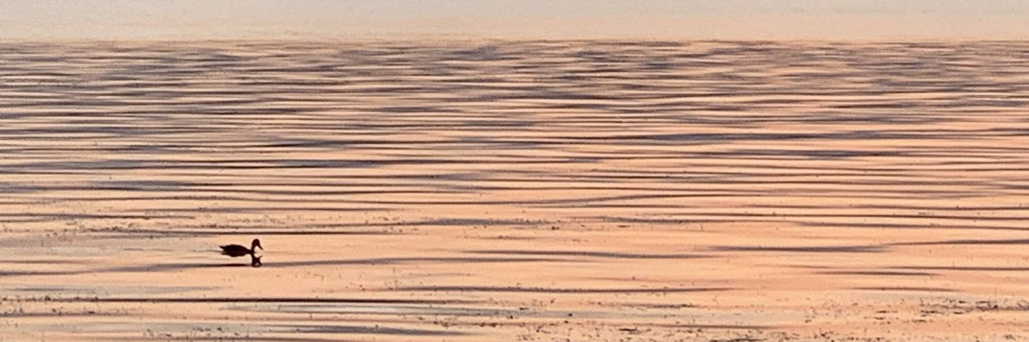 bu_gen's profile banner image