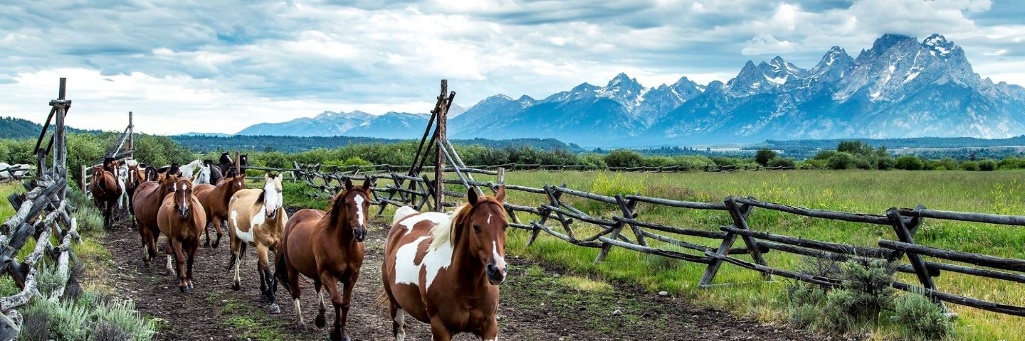 DudeRanch.com banner