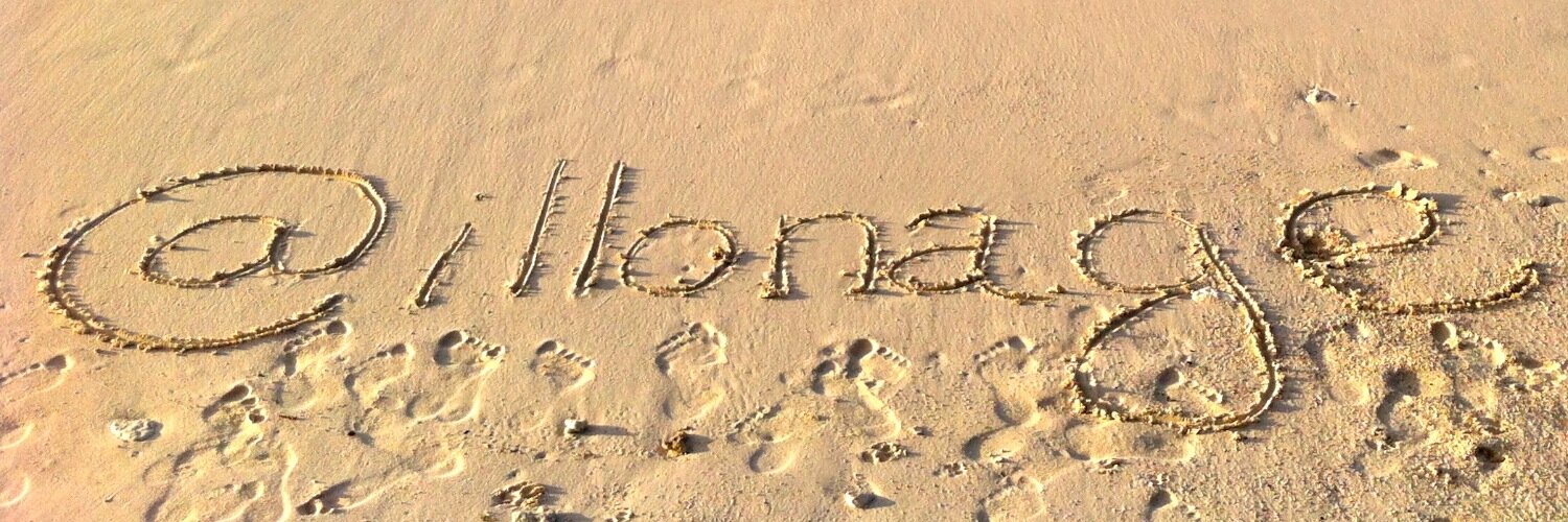 Geraldine (Gigi) Zanolli banner