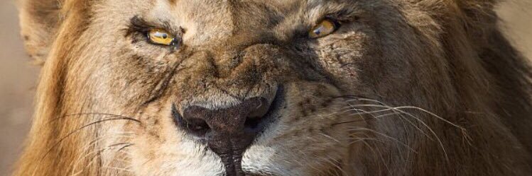 efeczr's profile banner image