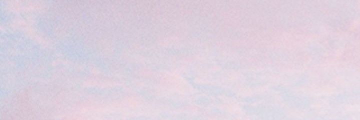 blushingpeachs's profile banner image