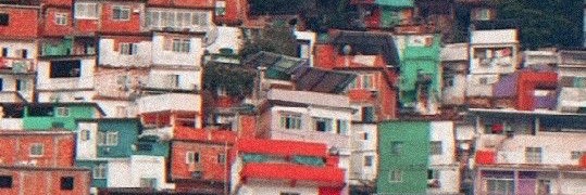 Teddy 🇲🇽 banner