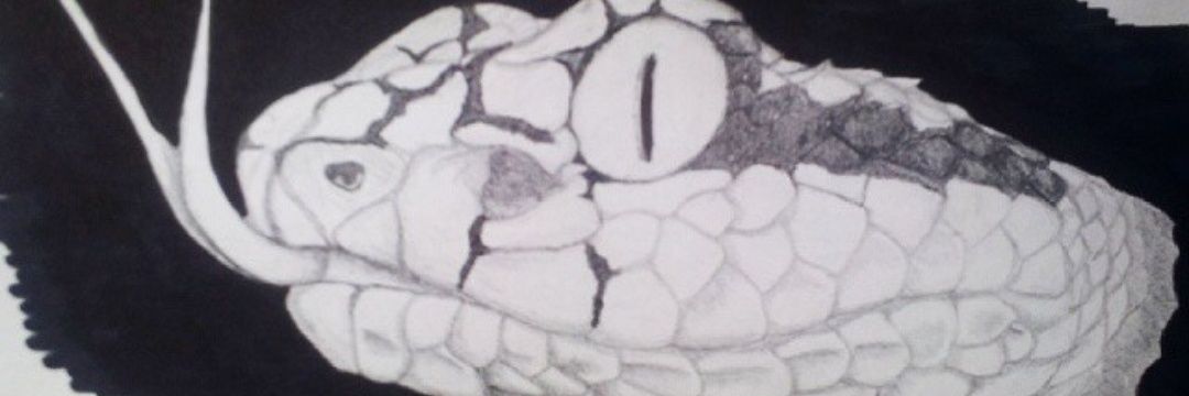 VReptiG's profile banner image